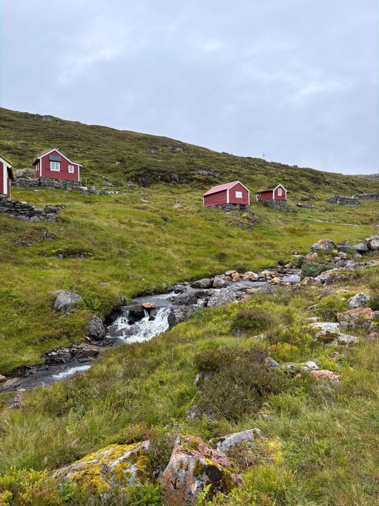 The red summer-farm huts at Fossane on the green hillside above Nordfjordeid