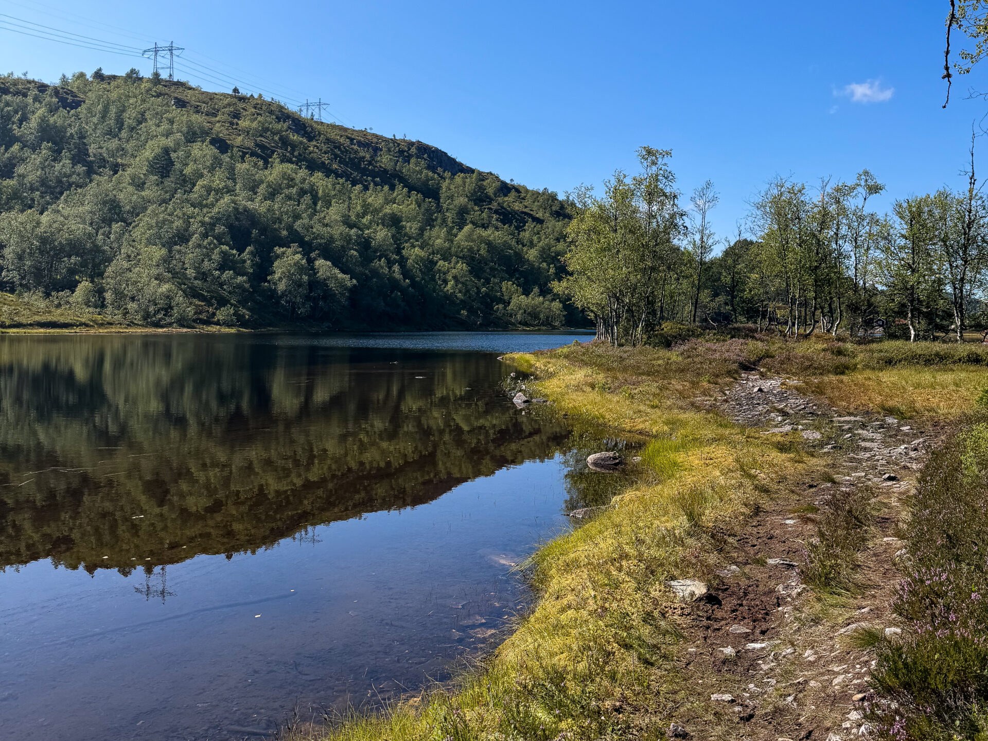 Trail along a calm mountain lake reflecting the forested hillside.